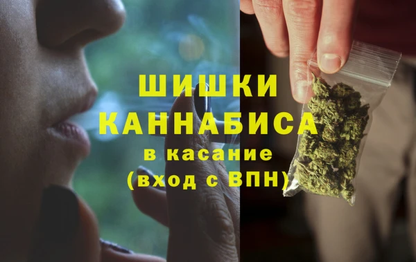 винт Лагань