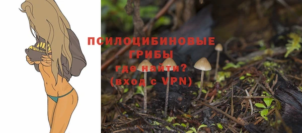 винт Лагань