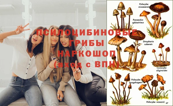 крисы Ладушкин