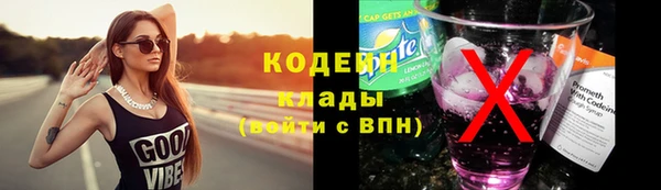 винт Лагань