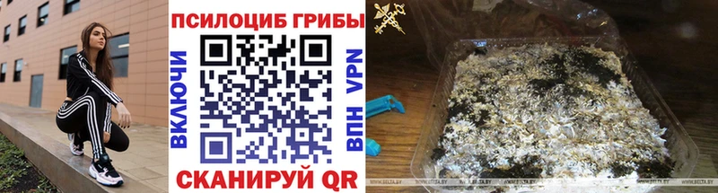 Галлюциногенные грибы Psilocybine cubensis  Макарьев 
